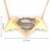 925 Ayar Gümüş Batman Superman Kolye
